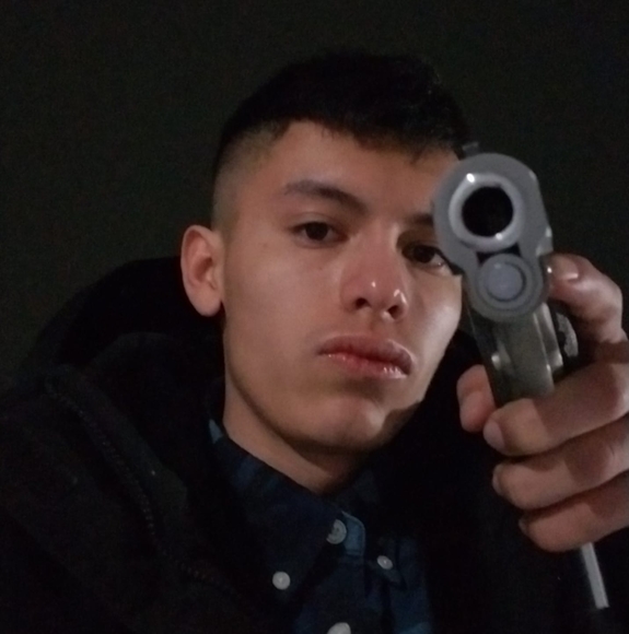 fierro35